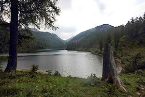 Steirersee südufer 51304 2017-06-24.jpg