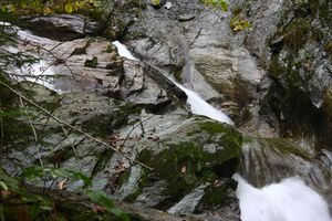 Teufelsschlucht Seewigtal 73375 2014-10-02.jpg