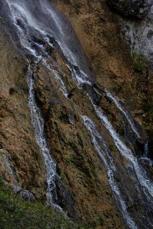 Wsf wolfbauer-409-2020-05-18.jpg