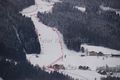 Alpine Ski WM 2013 Schladming Damen Riesentorlauf Start.jpg