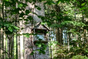 BST Breitauweg kupferbauer-0203-2025-06-18.jpg