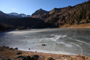 Duisitzkarsee 14385 2011-11-30.jpg