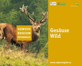 Genuss Region Gesäuse Wild.jpg