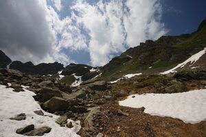 Im wildkar 23686 2008-06-26.jpg