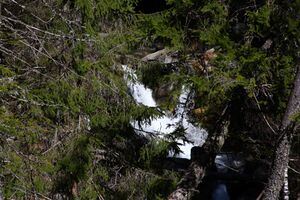 Kalte mandling025.jpg