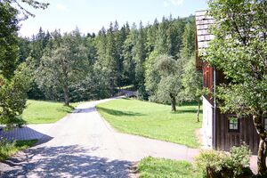 Klaus (Altaussee)-52-2026-07-11.jpg