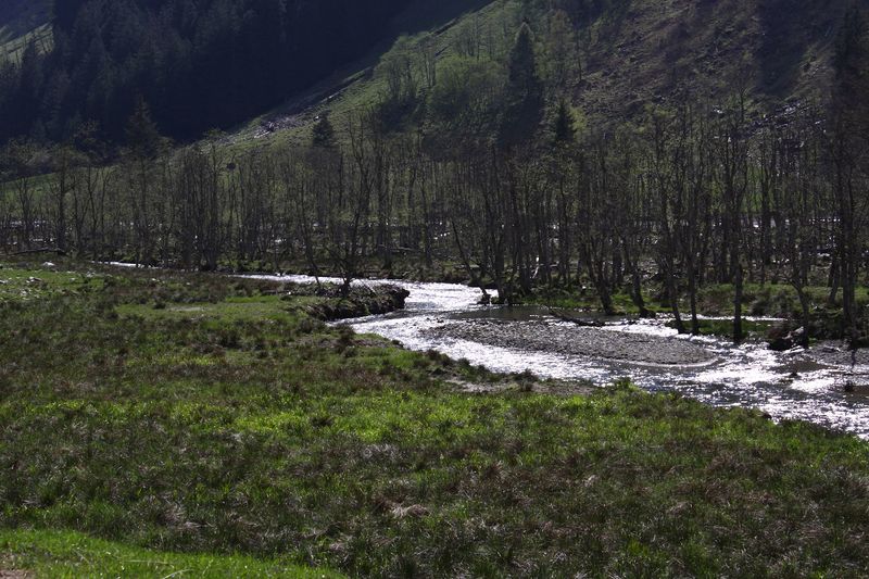 Datei:Kleinsölker Obertal 54842 2014-04-30.jpg