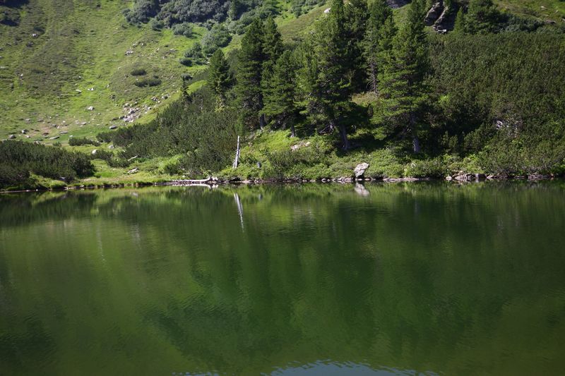 Datei:Oberer Karlsee 1526 13-08-05.jpg
