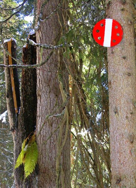 Datei:Orientierung für Skiwanderer.JPG