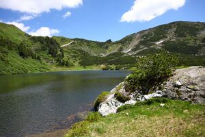 Plannersee 65280 2014-06-26.jpg