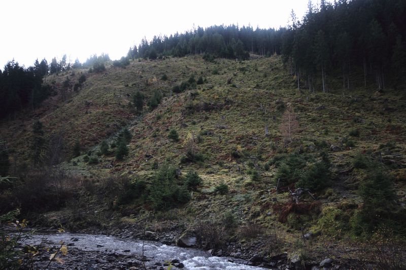 Datei:Siebenhüttenbach 66939 2017-10-26.jpg