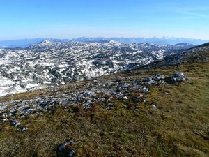 Sinabell 19819 2007-09-16.jpg