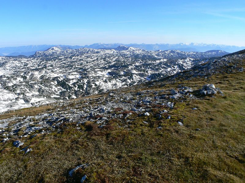 Datei:Sinabell 19819 2007-09-16.jpg