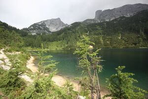 Steirersee südufer 51314 2017-06-24.jpg