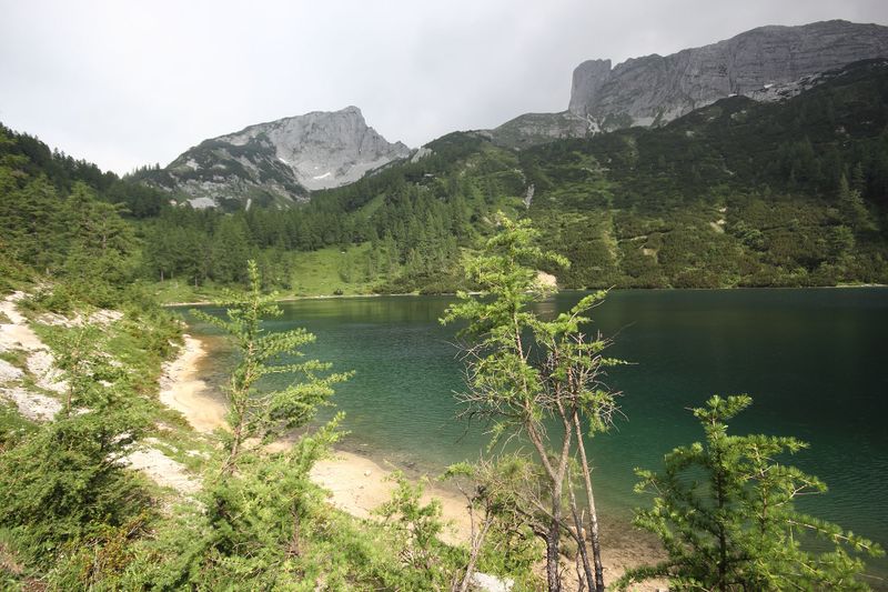 Datei:Steirersee südufer 51314 2017-06-24.jpg