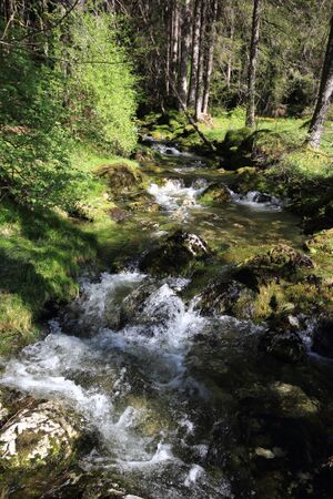 Strummern mühlreith 47252 2017-05-17.jpg