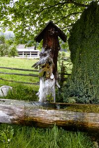 Am bründl liezen-1001-2022-05-18.jpg