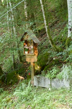 BST Pfarralmweg-0110-2025-06-18.jpg