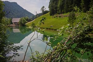 Burgstaller 9769.jpg