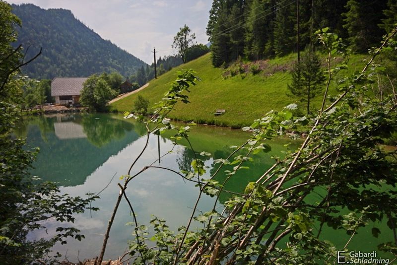 Datei:Burgstaller 9769.jpg