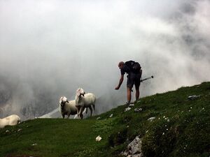 Feisterkar 0168 2005-07-17.jpg