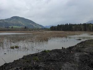 Frauenberger Torfstich0277.JPG