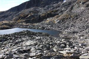 Goldlacken 0290 2013-10-08.jpg