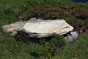 Gumpenkar 53175 2017-07-05.jpg