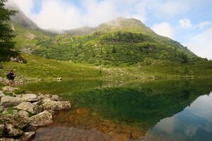 Moaralmsee 1314 2008-07-27.jpg