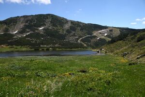 Plannersee 65268 2014-06-26.jpg