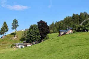 Ringlerhof michaelerberg Ost-0056-2023-08-14.jpg