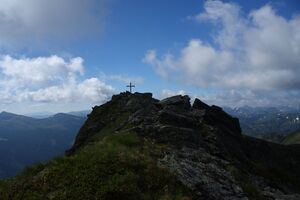 Seekoppe 73969 2014-06-26.jpg