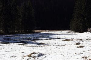 Spechtensee 62944 2017-10-31.jpg