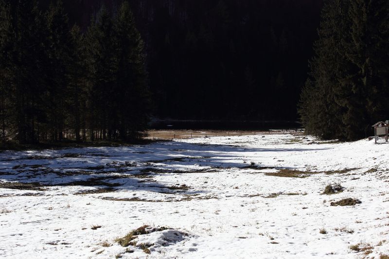 Datei:Spechtensee 62944 2017-10-31.jpg