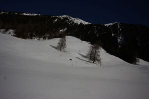 Tuchmoaralm 19905 2016-03-17.jpg