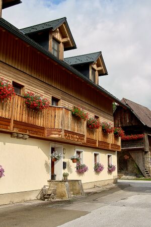 Vlg kopp nr 11 Wb-liezen--0010-2023-07-18.jpg