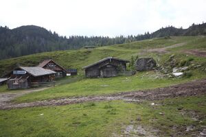 Zeffereralm fageralm-33-2018-06-15.jpg