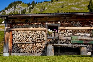 Bärenfeichtenalm-3146-2021-08-03.jpg
