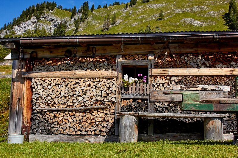 Datei:Bärenfeichtenalm-3146-2021-08-03.jpg