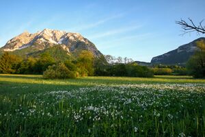 Europaschutzgebiet niederstuttern6182.jpg