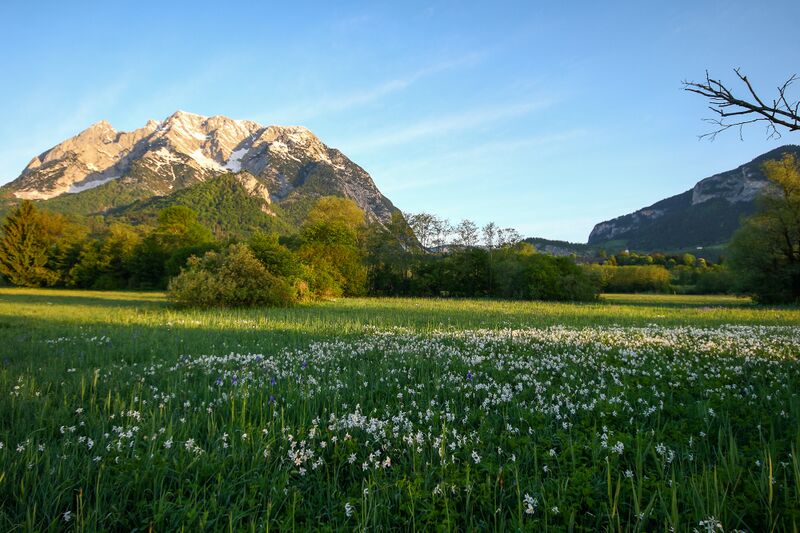 Datei:Europaschutzgebiet niederstuttern6182.jpg