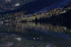 Grundlsee See 78010 2014-11-03.jpg