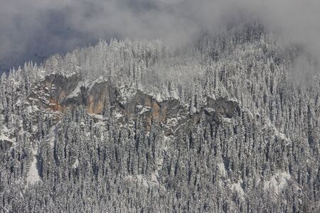 Kalcherwand ramsau 17524 2016-01-18.jpg