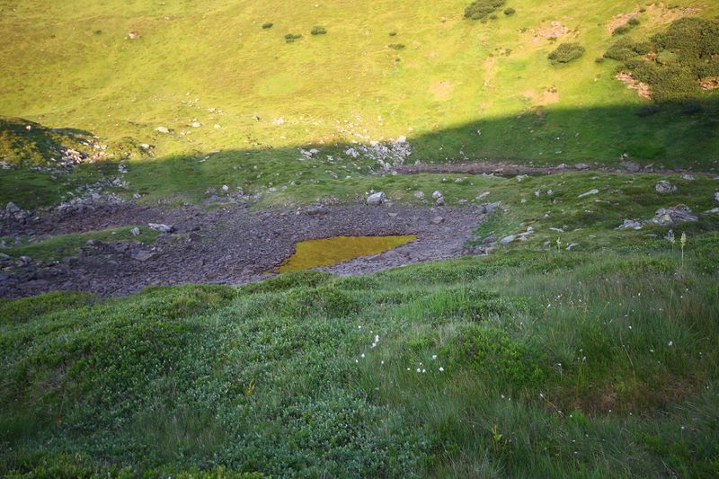 Datei:Krottenseen 1016 13-08-06.jpg