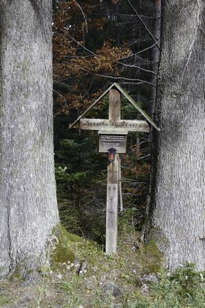 MA johann tasch-0091-2021-10-30.jpg