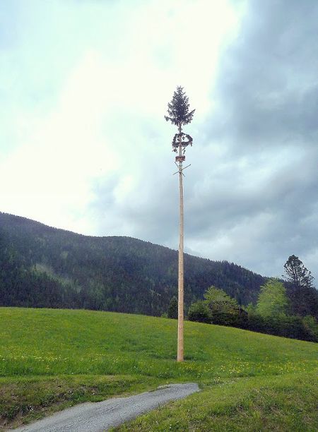 Wie Lange Lässt Man Einen Maibaum Stehen Maibaum – EnnstalWiki