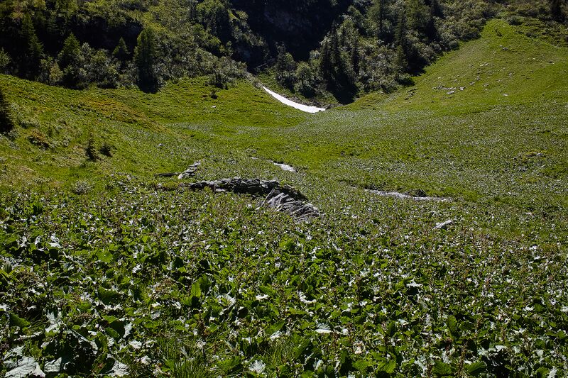 Datei:Oberrieden oppenberg-101-2020-06-12.jpg