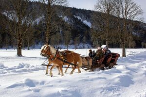 Pferdeschlitten ramsau-0007-2023-02-05.jpg
