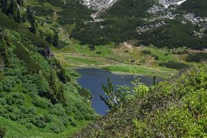 Plannersee 65258 2014-06-26.jpg