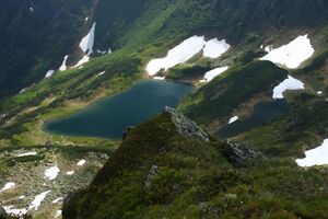 Riednerseen 65440 2014-06-26.jpg